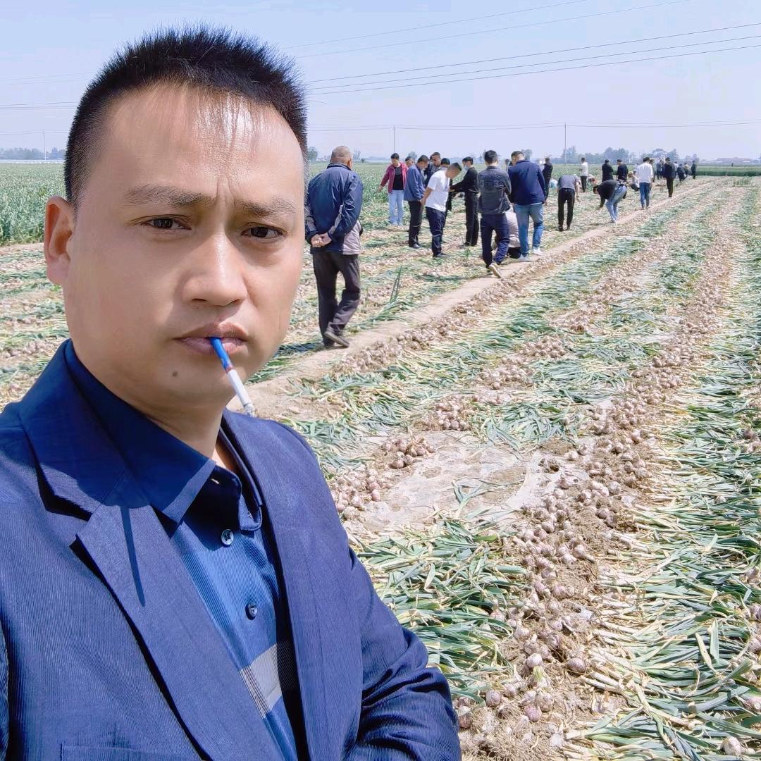 马立峰⭕专业大蒜洋葱蒜苔辣椒