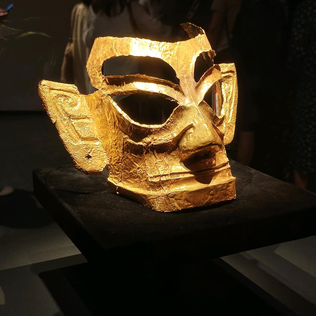 每日积累农学知识 文献阅读 背单词