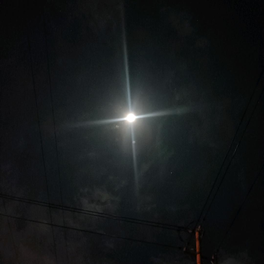 不期而遇
