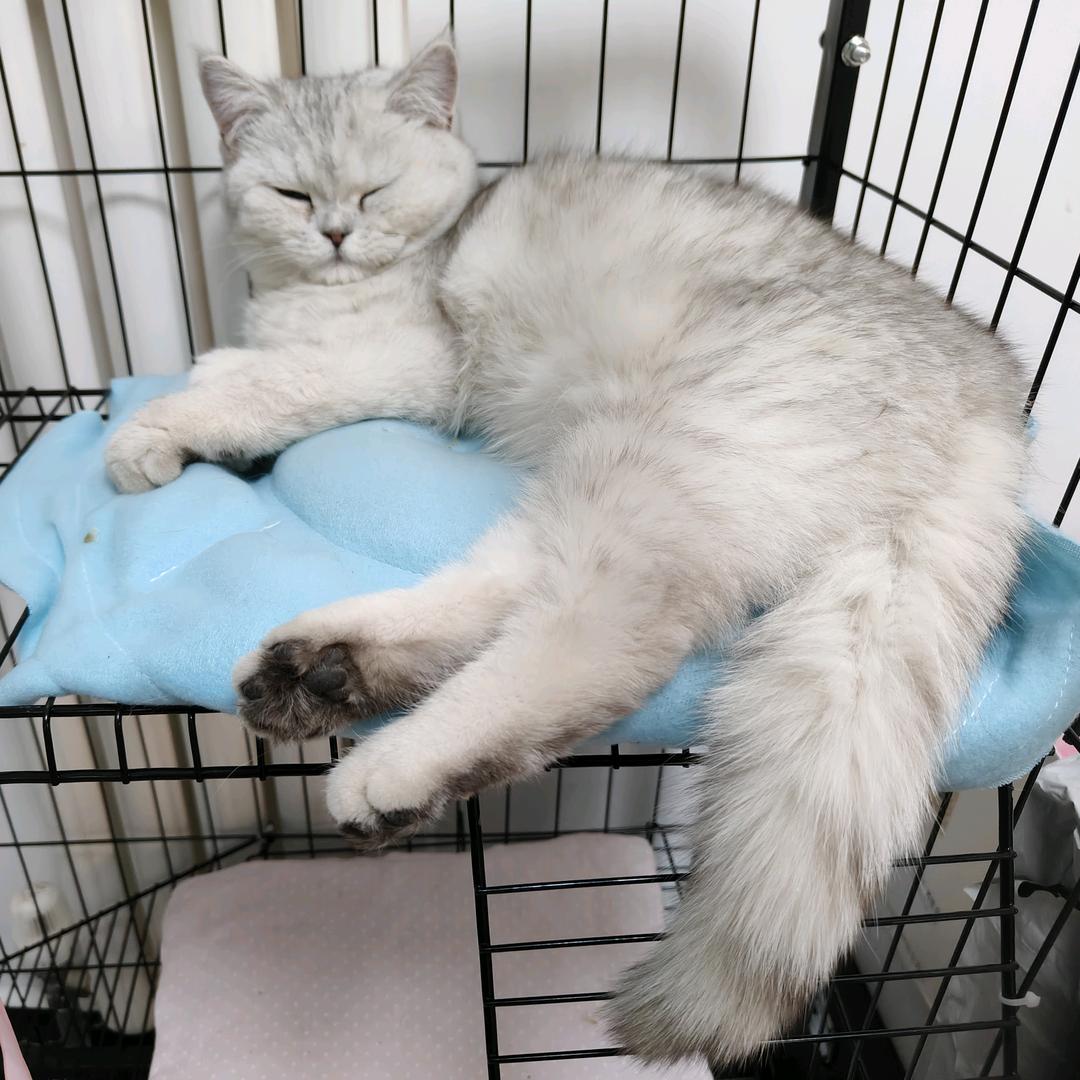 小小墨潮玩吧冰箱贴