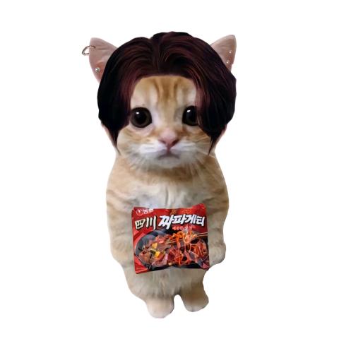 霸气小公🐱
