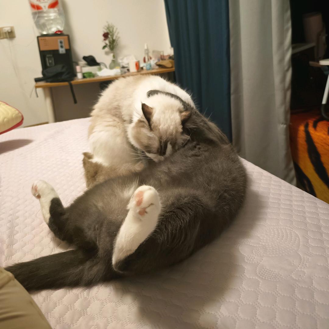 风云-南通鸿途-西西