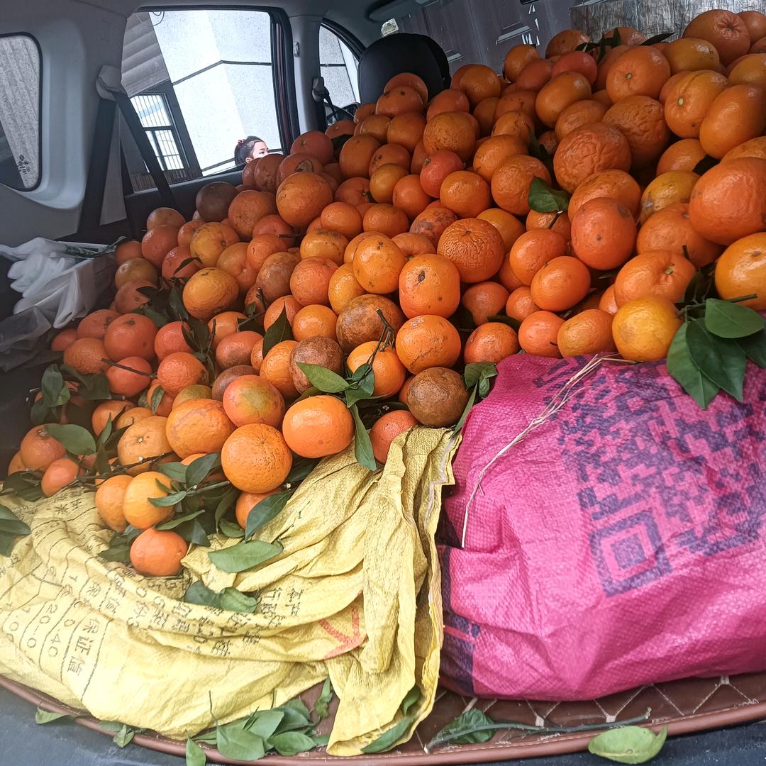 祝你阅读愉快46235