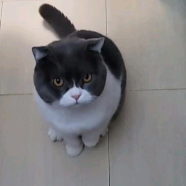 流云