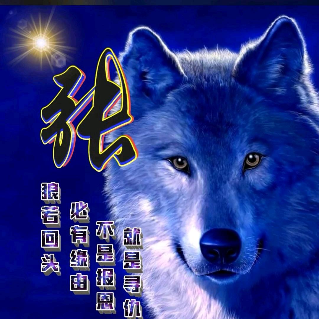 狼行天下