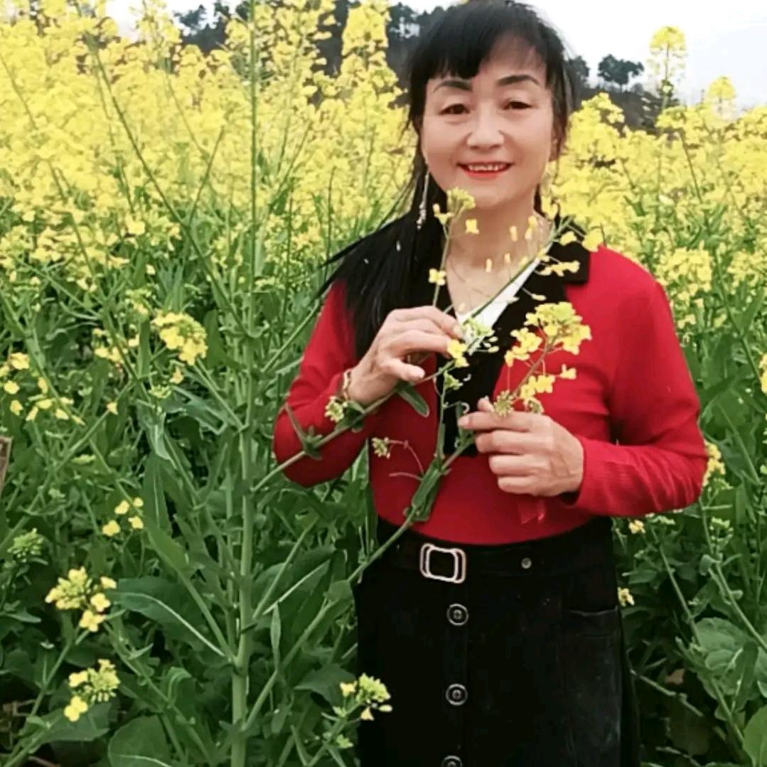 一朵金花