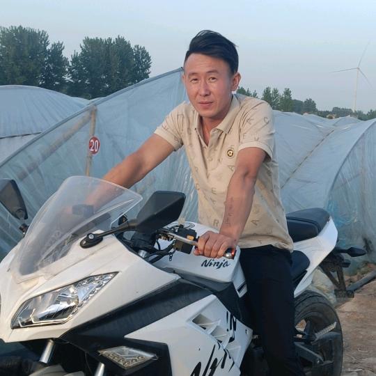 小虎徒步回河南