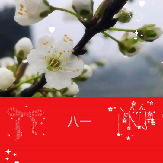范哥也是歌🇨🇳