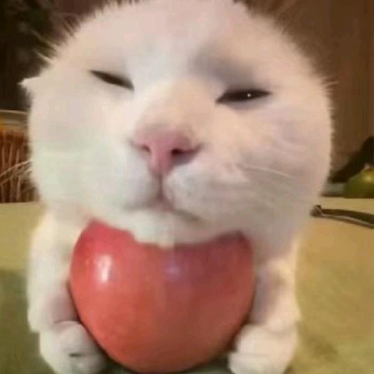 又骗牛至