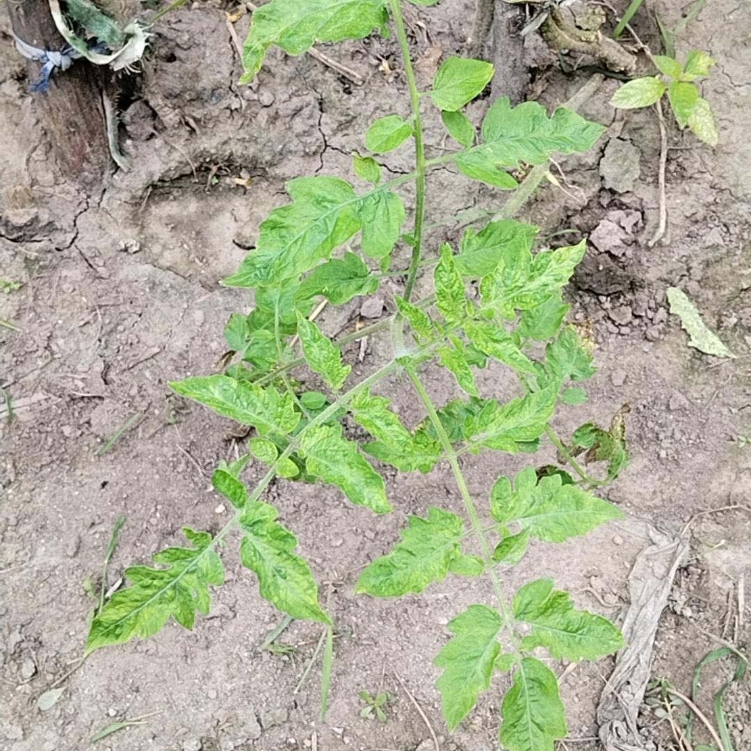 💅舞动人生💅