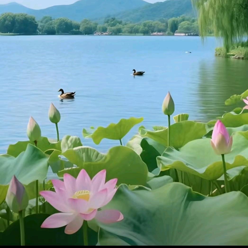 慧静❤️❤️❤️