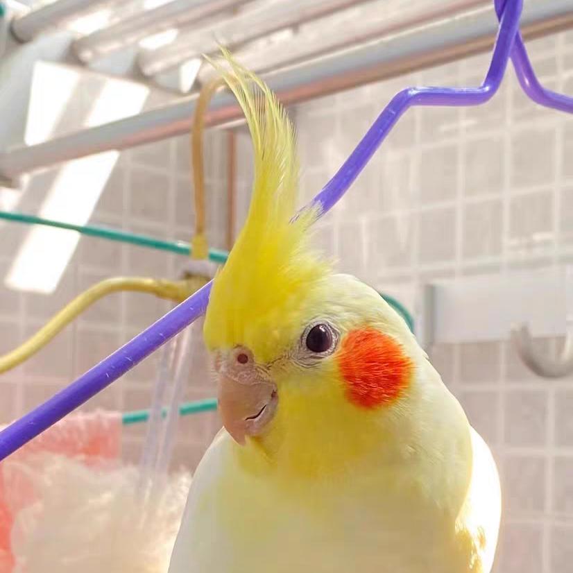 曼哒尔曼哒尔专卖店