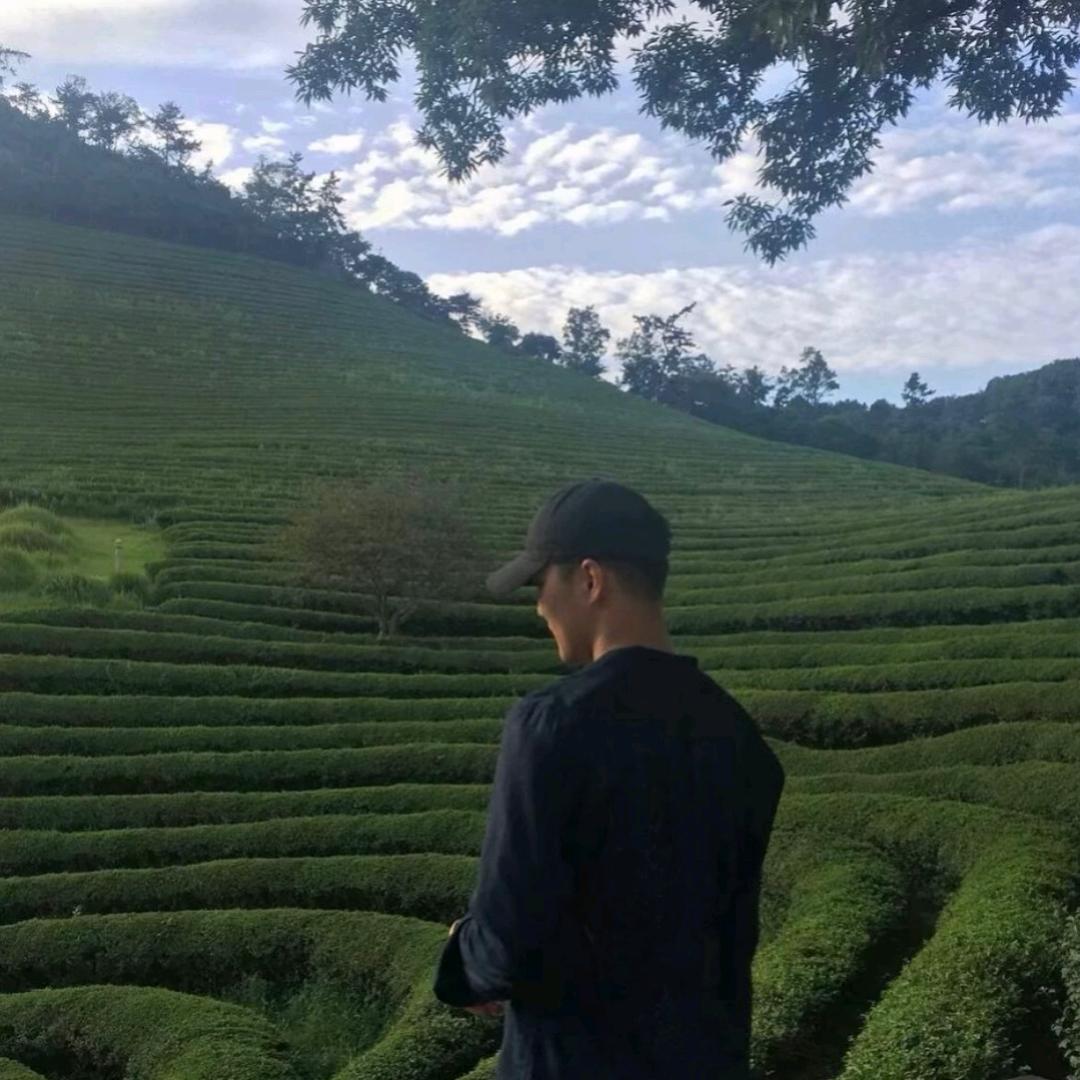 番茄又炒蛋