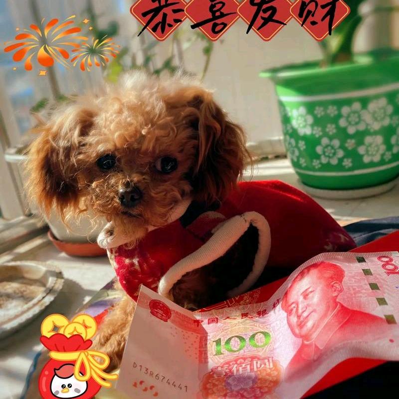 人生若只如初见