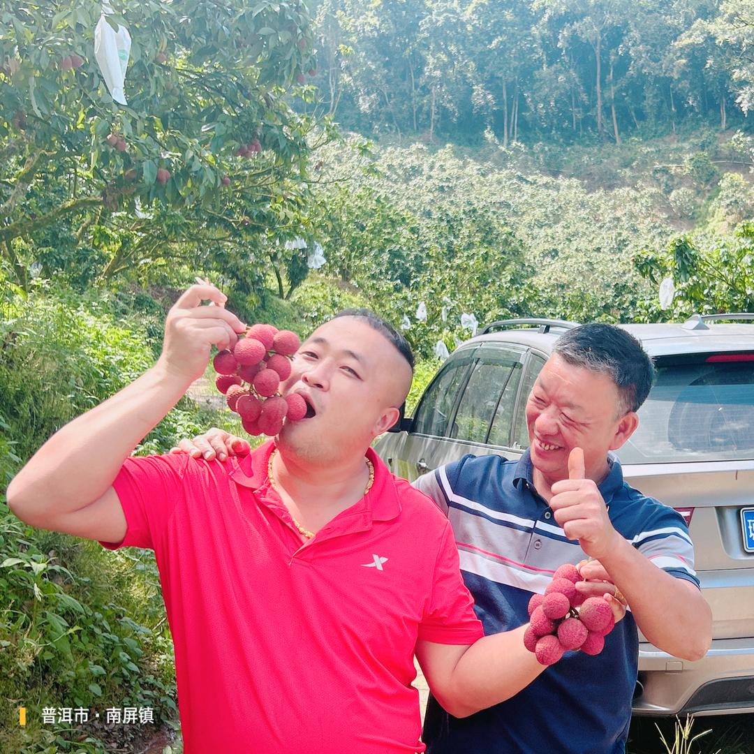 努力的荔枝
