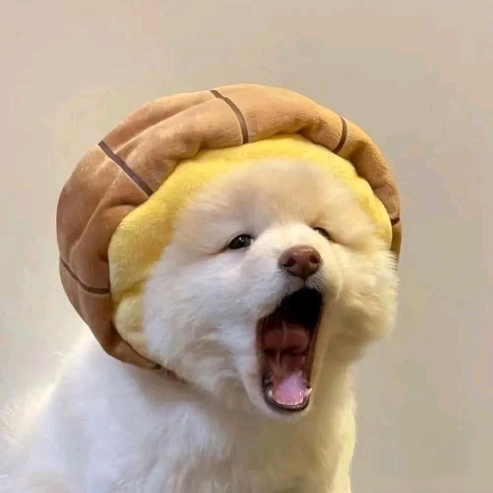 灭鼠专家