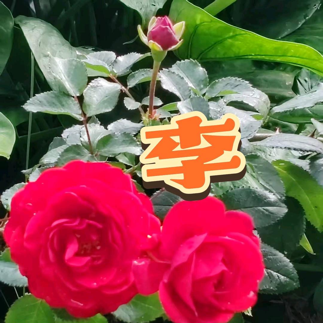 思念🍒《往事清零》🍎