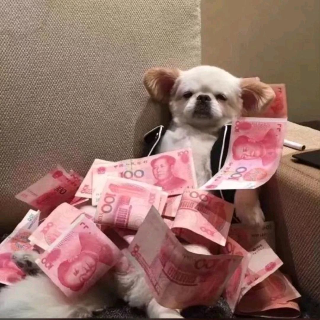 东湖万能学长