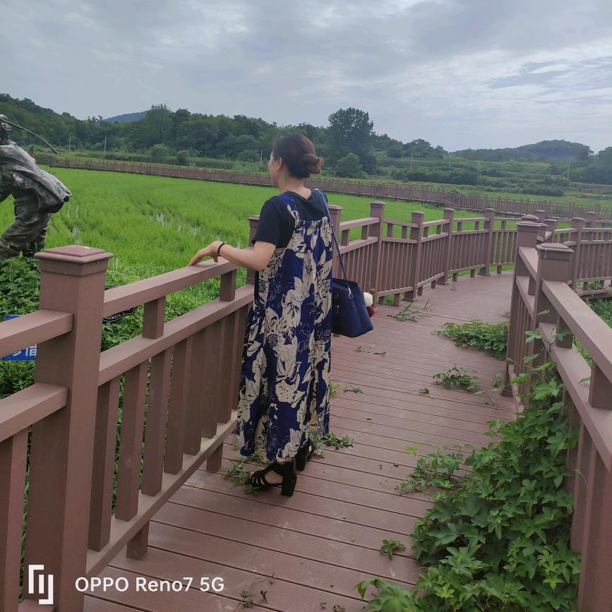 八珍