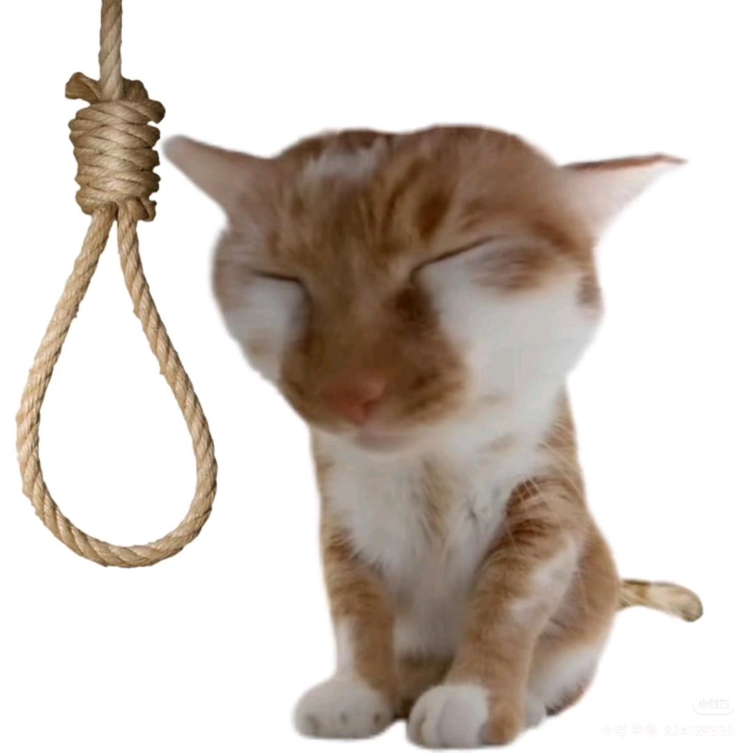 弓长