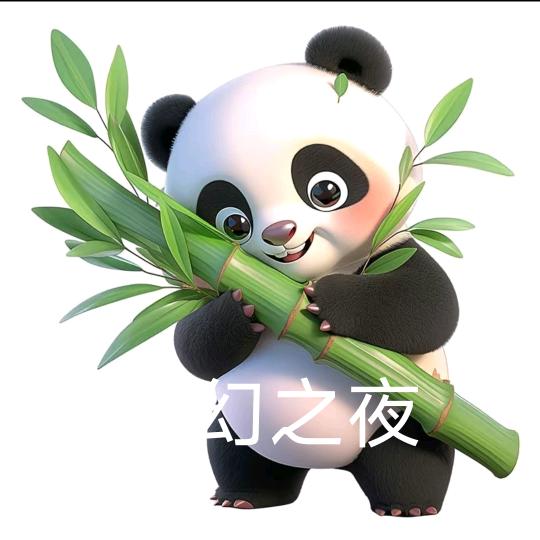 梦幻之夜