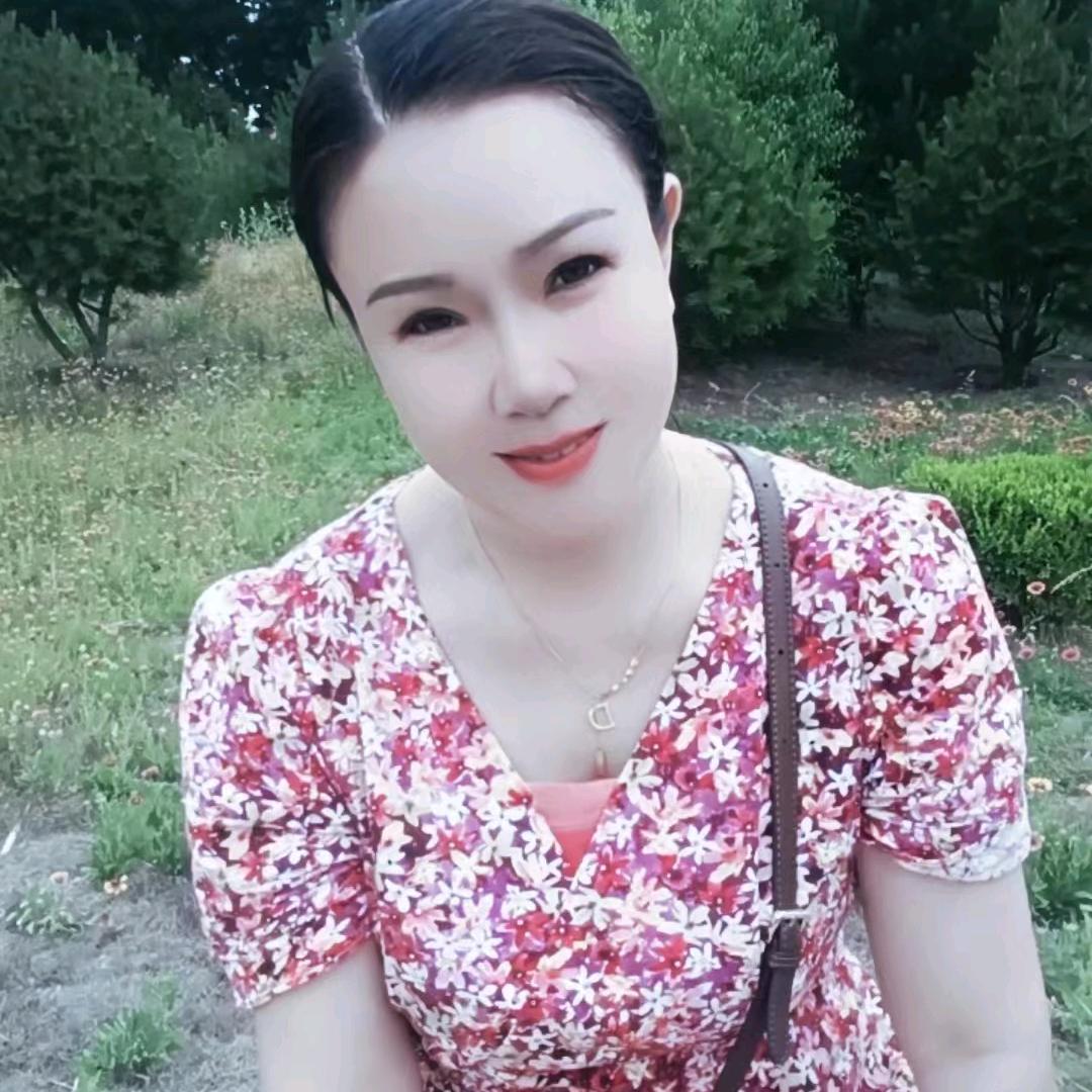 凤舞九天