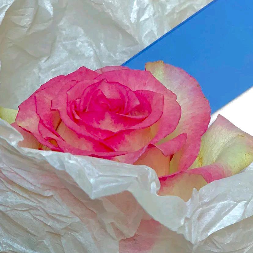 茉福手工穿戴甲