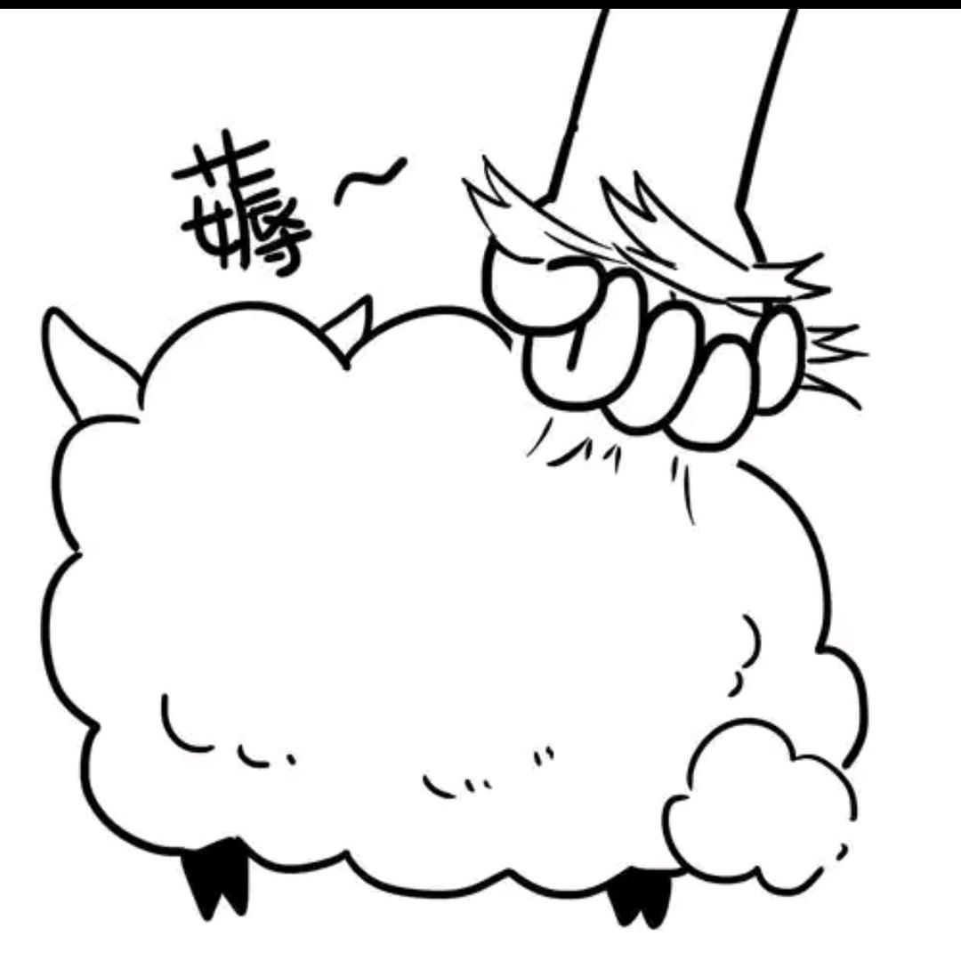 羊肉卷