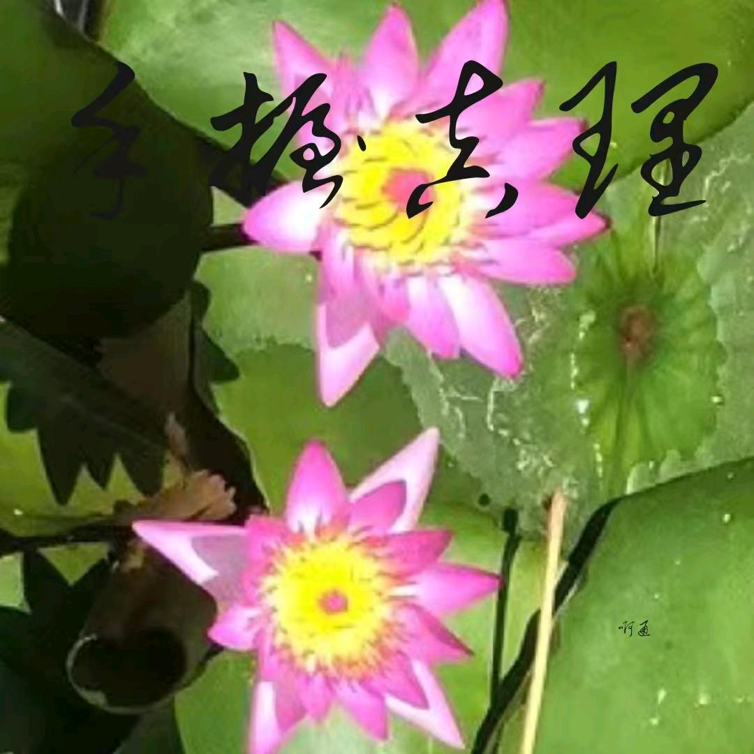 手握真理