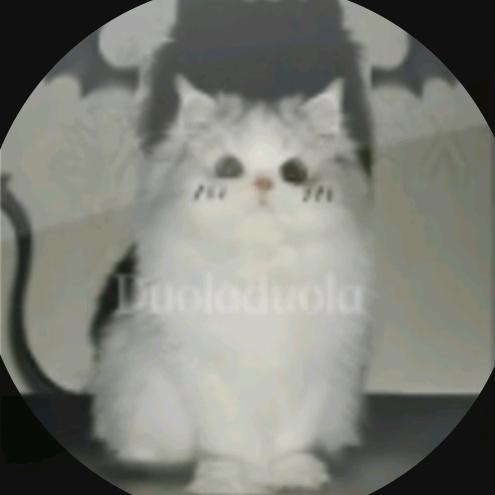 青鱼