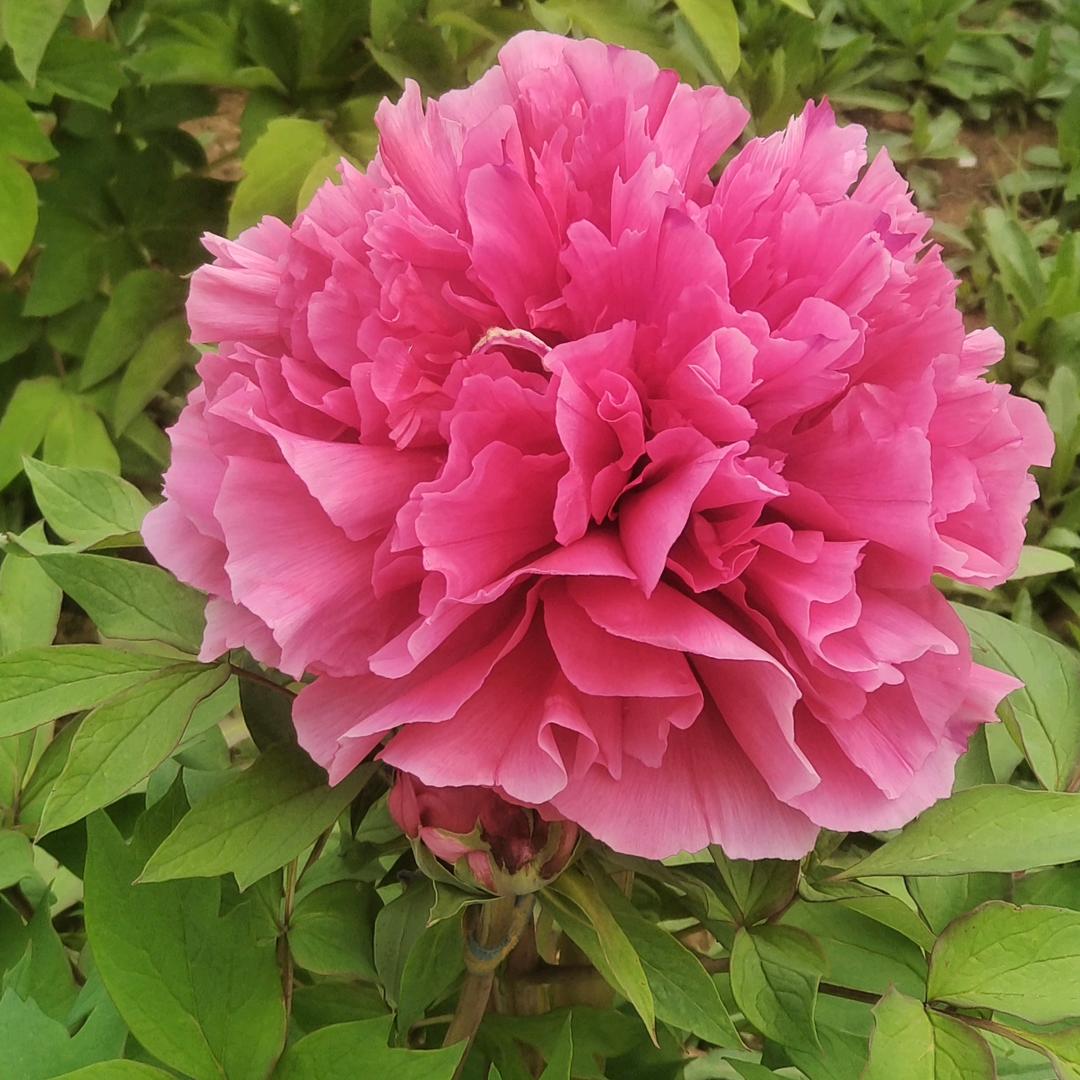 开心就好每一天