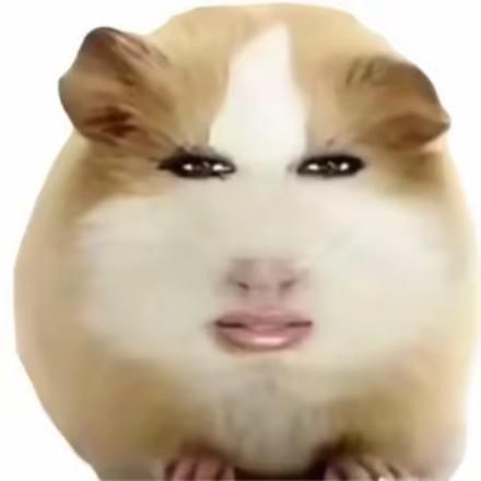 猪妞
