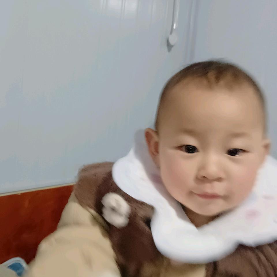 毛鱼公司