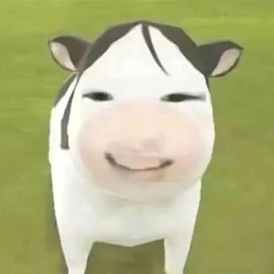 不知道取什么名字