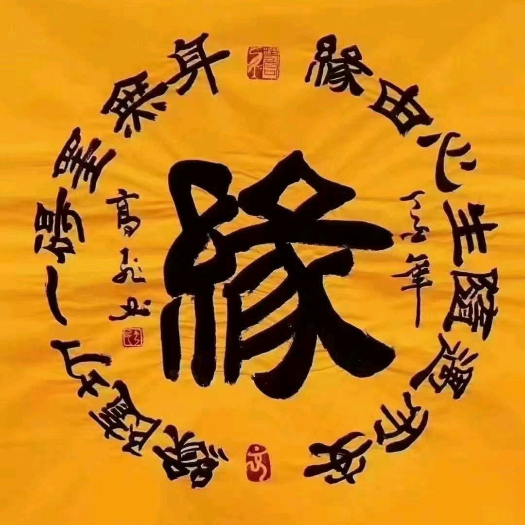 随梦而飞