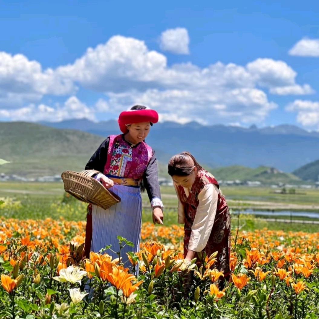 哈姆谷青青生态农场