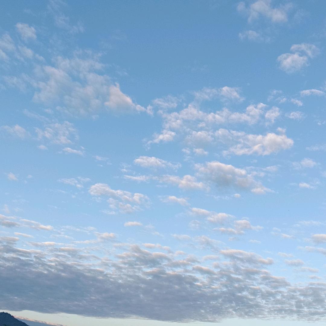 阿树中央空调保温