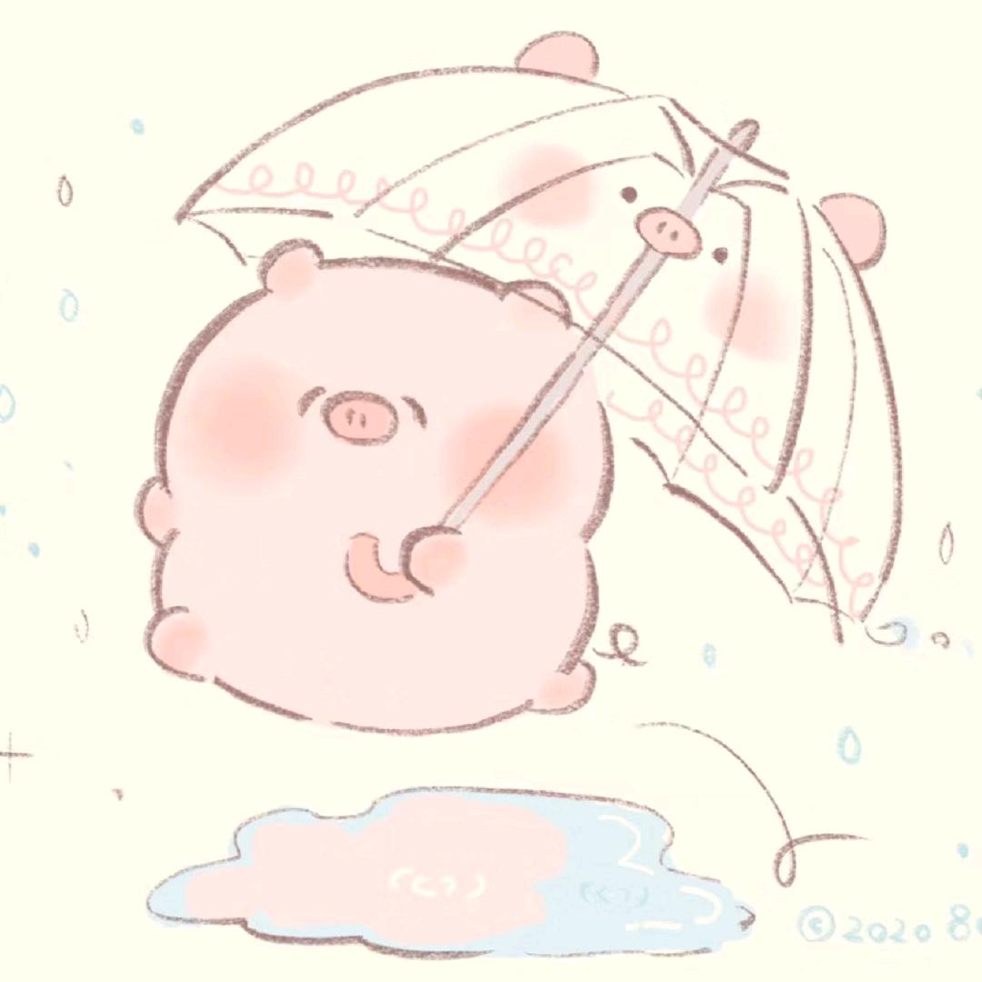 小石呀🎶