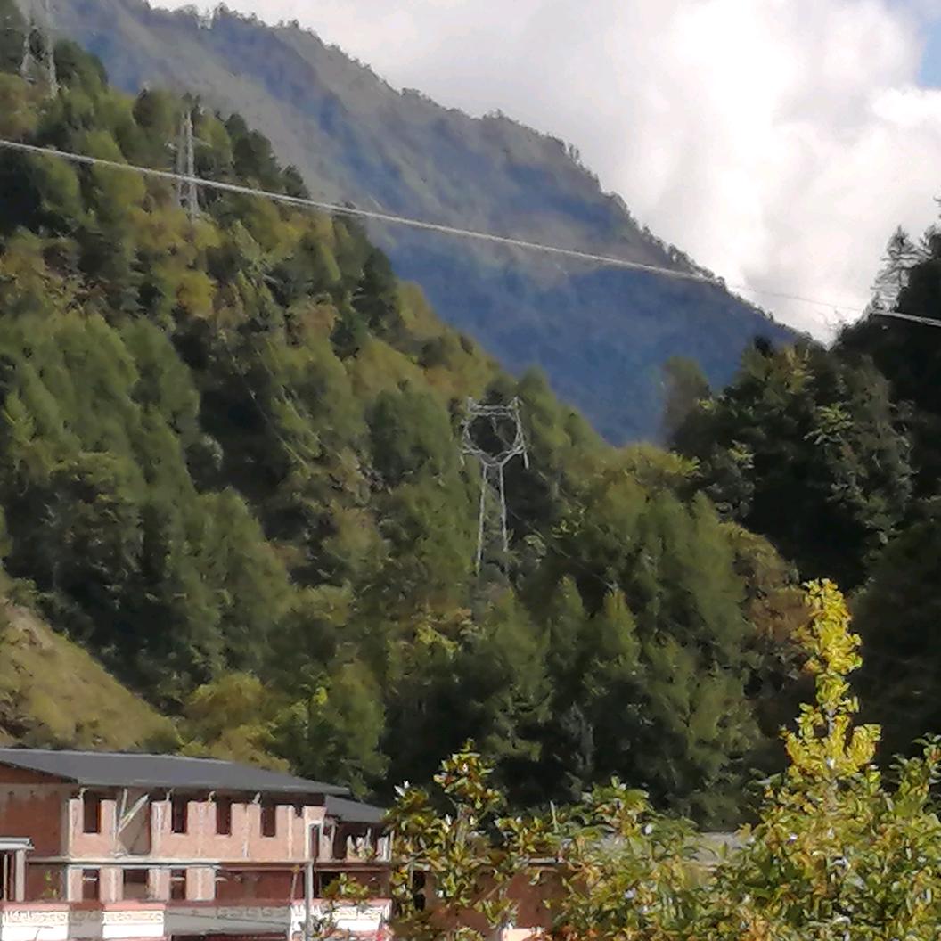 🌈東風筷子✨林羽_tyu☀️🇨🇳