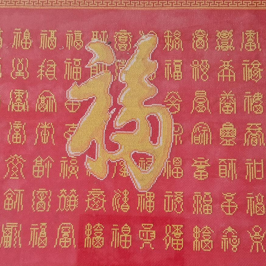 赵姐爱运动早6点开播