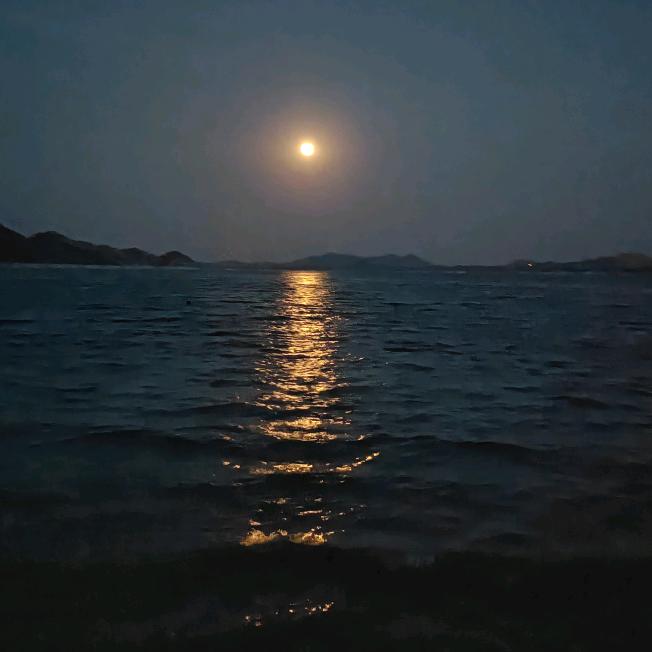 喜欢你让我痴迷