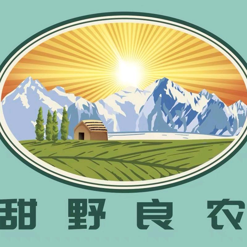 上海洪梨