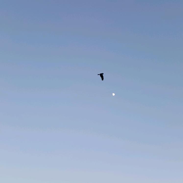 星河-机电、消防深化设计