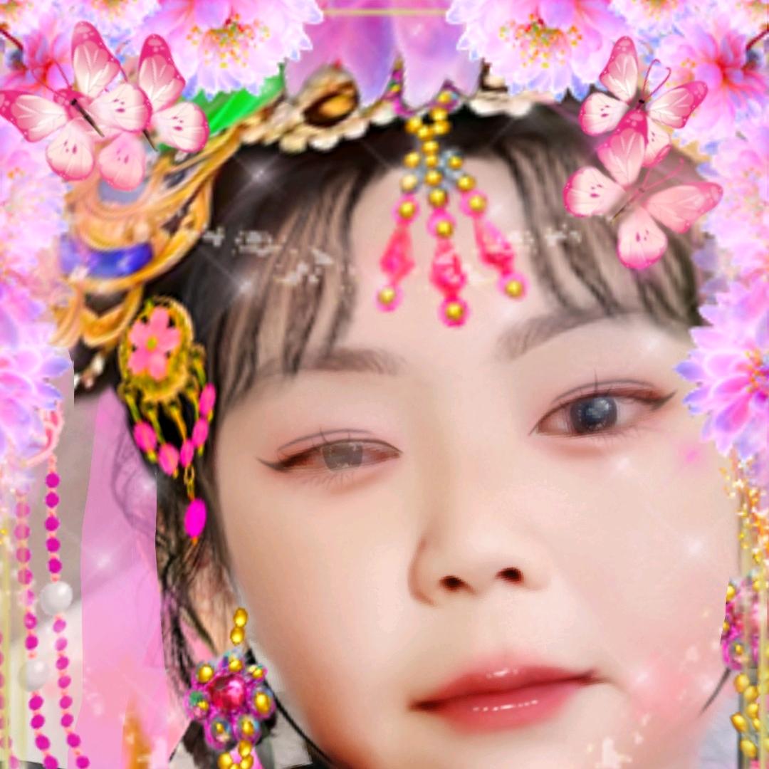 吴美琴520