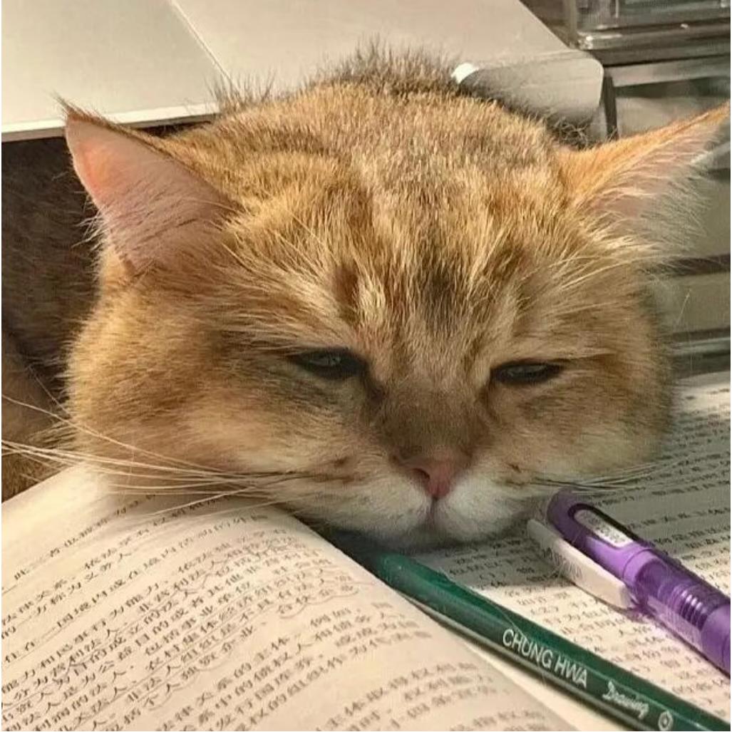 悲伤的小奶酪🧀