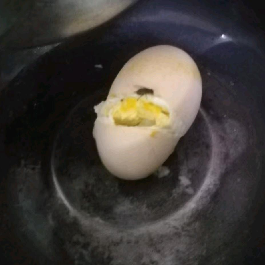 保家卫郭