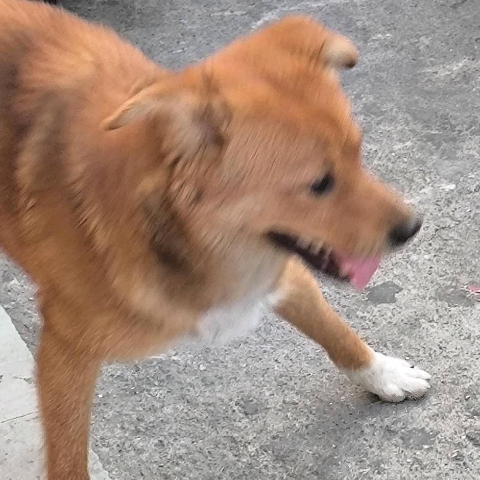 狡猾的人机