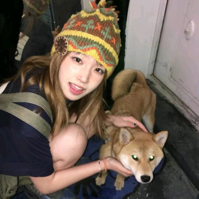 温婉逆袭的擦鞋头像