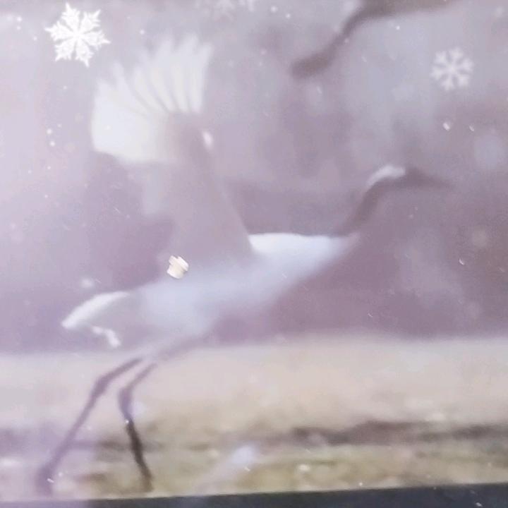 闲云