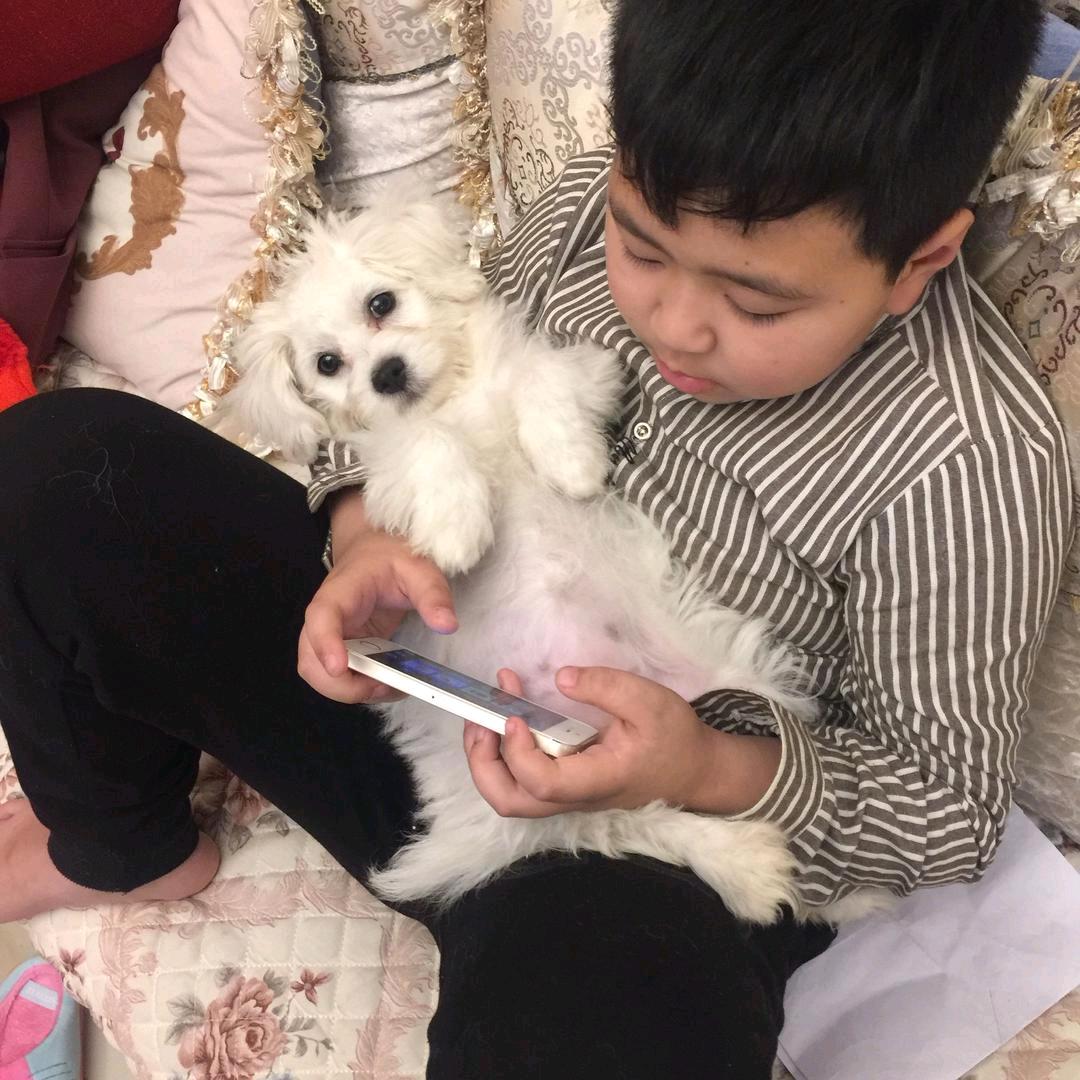 翩翩